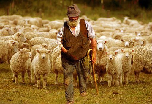 Le Ricette dei Pastori: Gastronomia e Tradizione